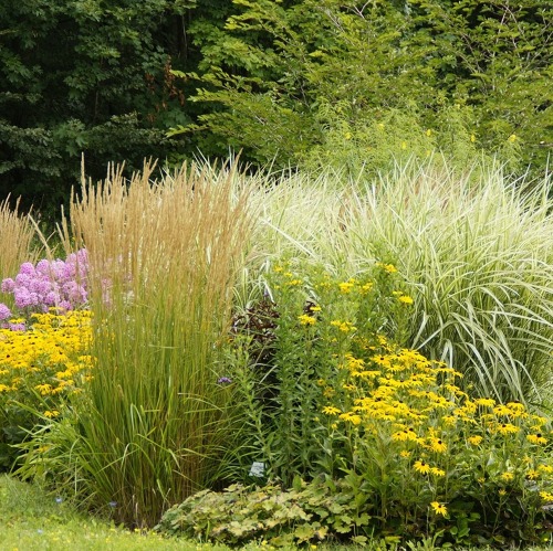 Was muss ich bei Neupflanzungen von Geh&ouml;lzen oder Stauden beachten?